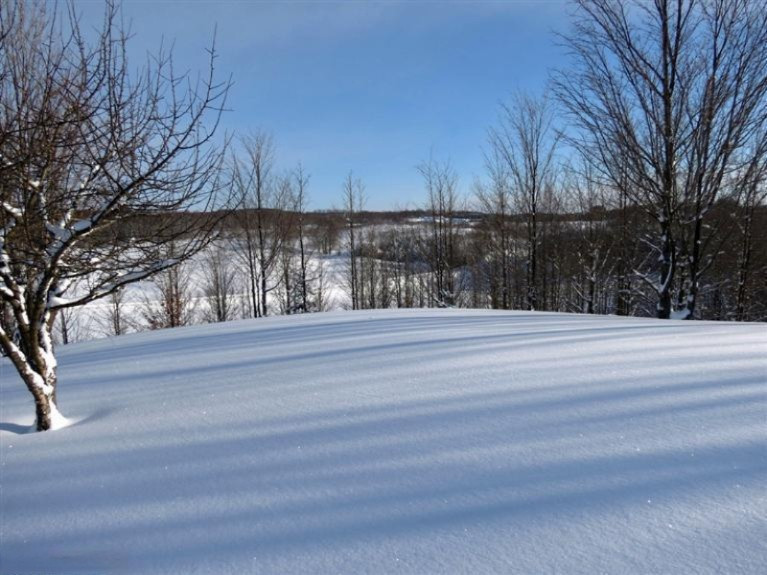 8349 Glovers Lake Road Bear Lake, MI 49614 - Photo 21 of 22 Additional Photo