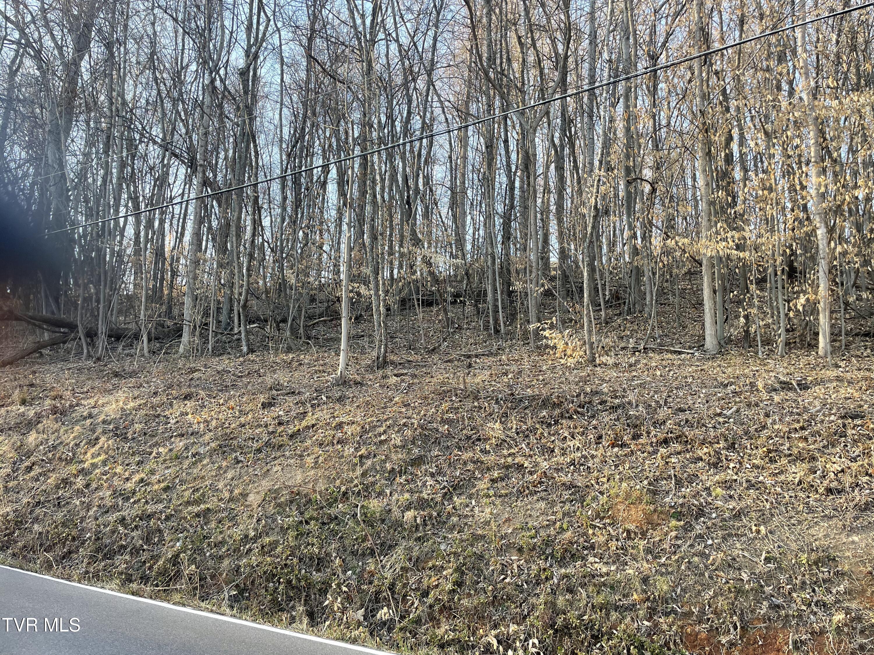 Tbd Chestnut Ridge Road, Unit 9 Kingsport, TN 37664 - Photo 4 of 4 IMG_8422