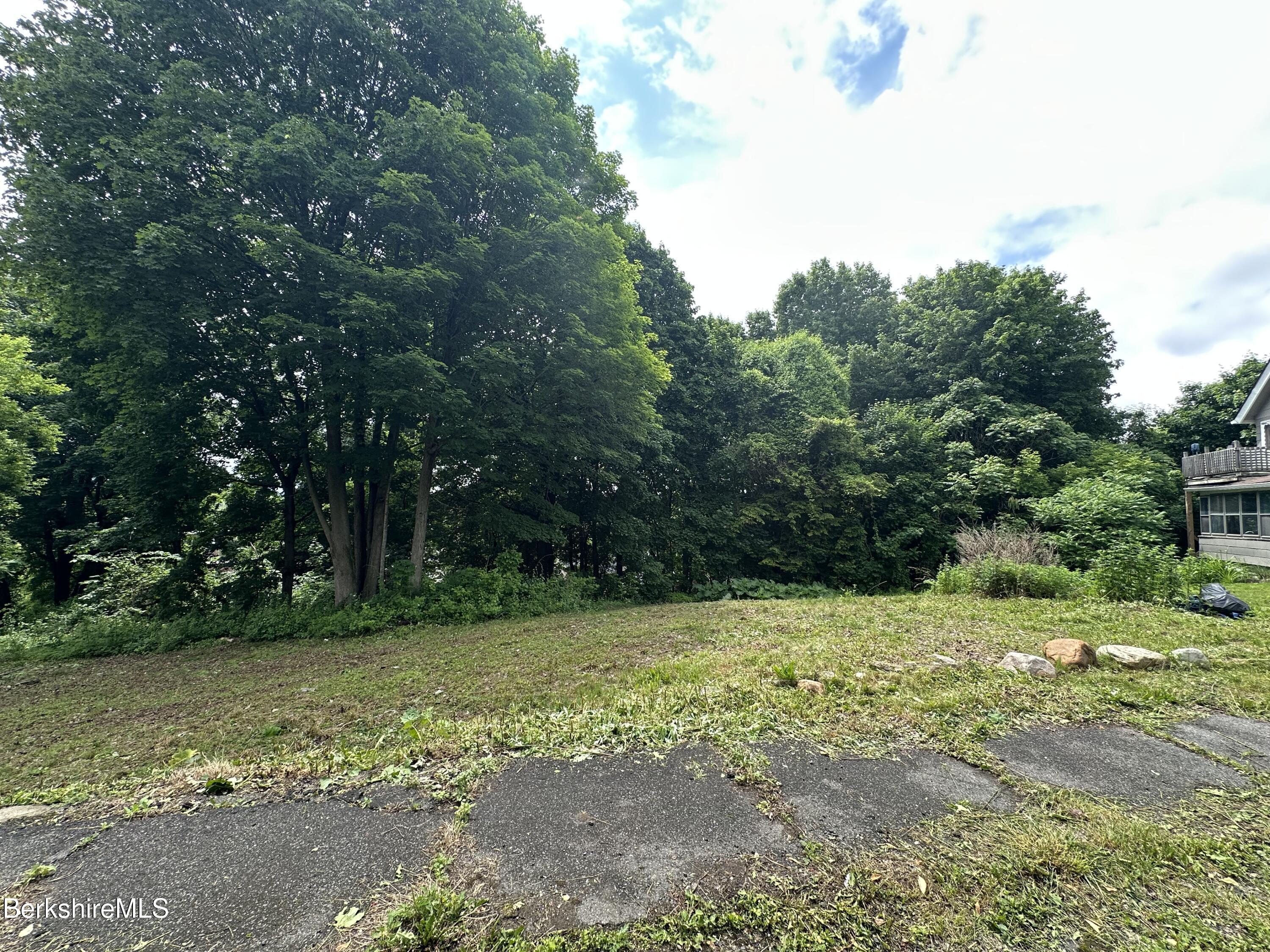 33 Circular Avenue Pittsfield, MA 01201 - Photo 4 of 5 Right Side of Lot