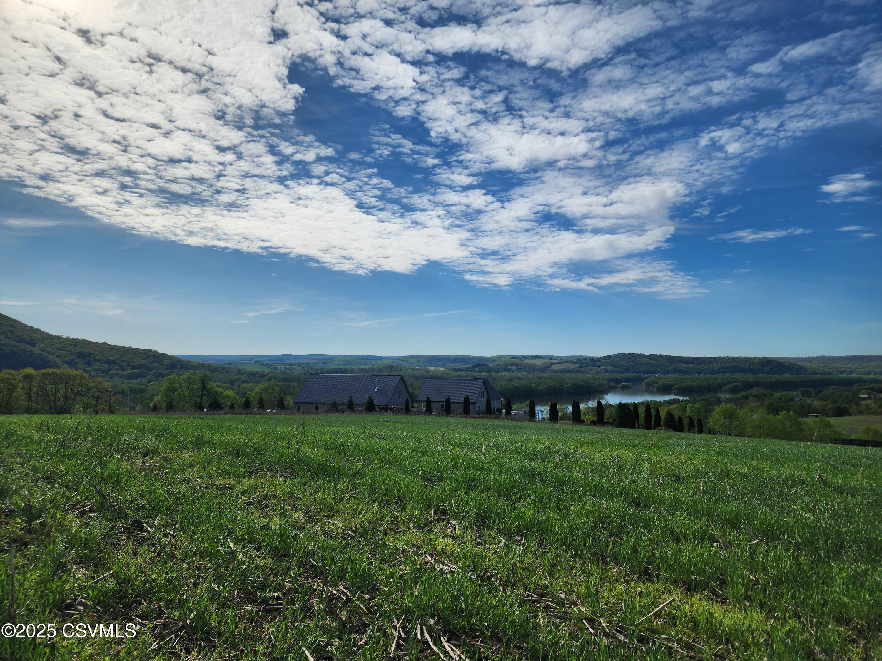 Roosters Rd Port Port Trevorton, PA 17864 - Photo 14 of 23