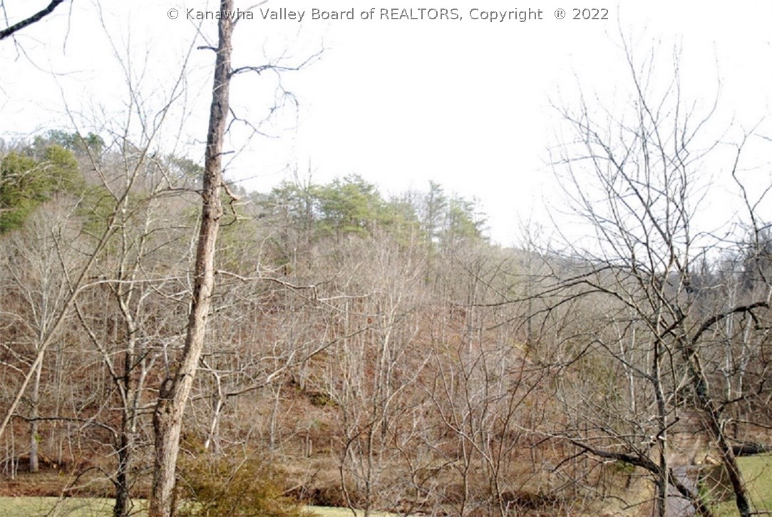 1579 Beech Fork Road Leon, WV 25123 - Photo 18 of 20 Gallery Image 18