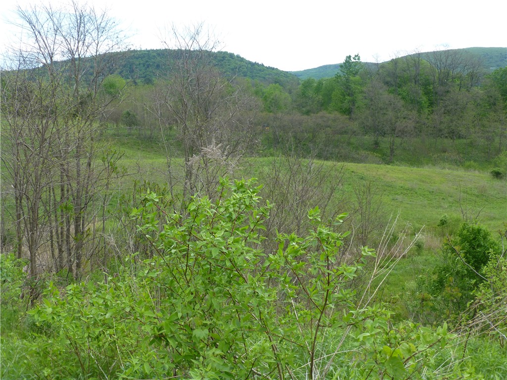 12 Commons Drive Hartwick, NY 13326 - Photo 3 of 18