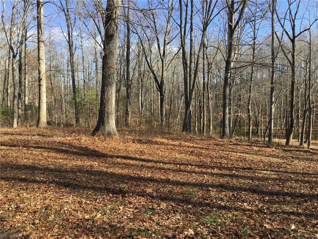 635 Gray-Wilson Road Colfax, NC 27235 - Photo 28 of 30