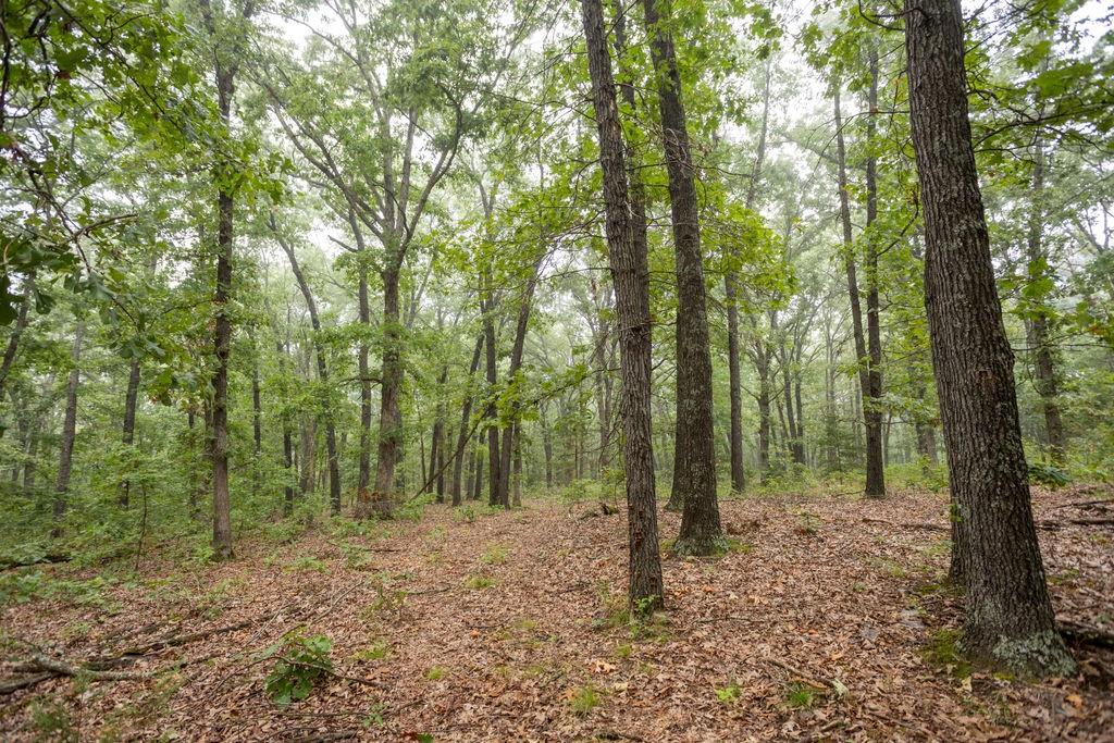 6030 Southeast 740 Pvt Road Collins, MO 64738 - Photo 59 of 64 Gallery Image 59