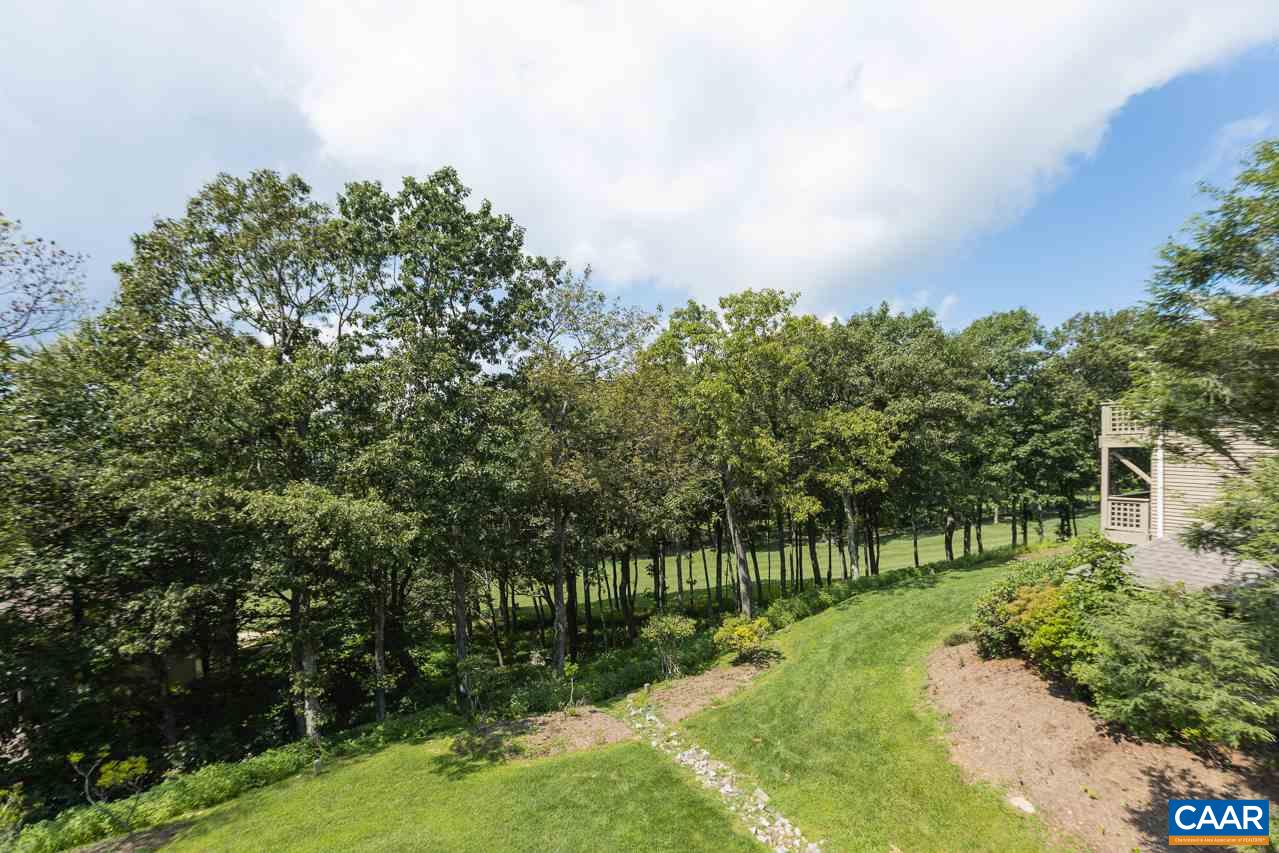 2036 Stone Ridge Roseland, VA 22967 - Photo 6 of 18 a view of a park with large trees