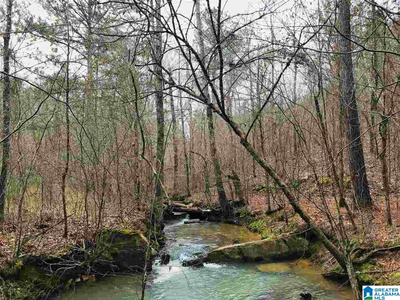 3111 Jackson Road, Unit 75 ACRES Pinson, AL 35126 - Photo 7 of 16