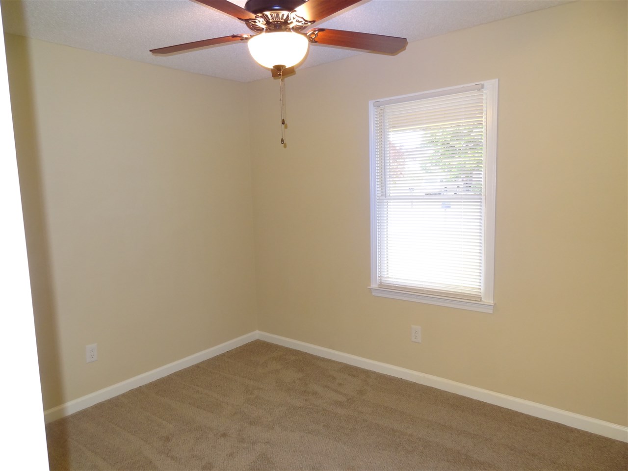 233 Ranier Drive Inman, SC 29349 - Photo 10 of 13