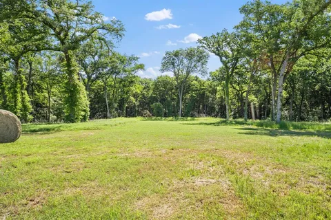 a view of an ocean tree and a yard