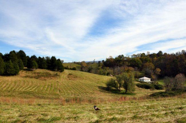 4095 Laurel Creek Road Union, WV 24983 - Photo 42 of 44 Gallery Image 42