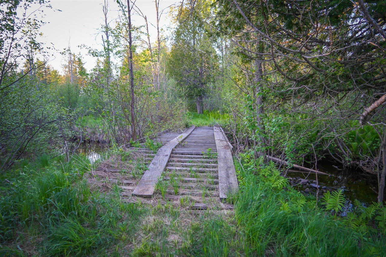 V/l V/l 33rd Road Gladstone, MI 49837 - Photo 51 of 70