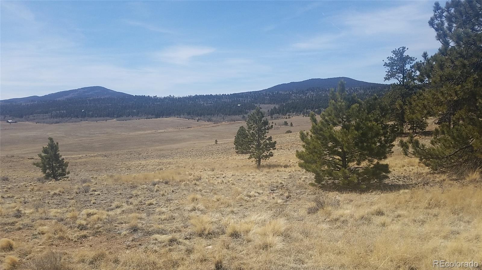 313 Wagon Wheel Road Hartsel, CO 80449 - Photo 4 of 25 Gallery Image 4