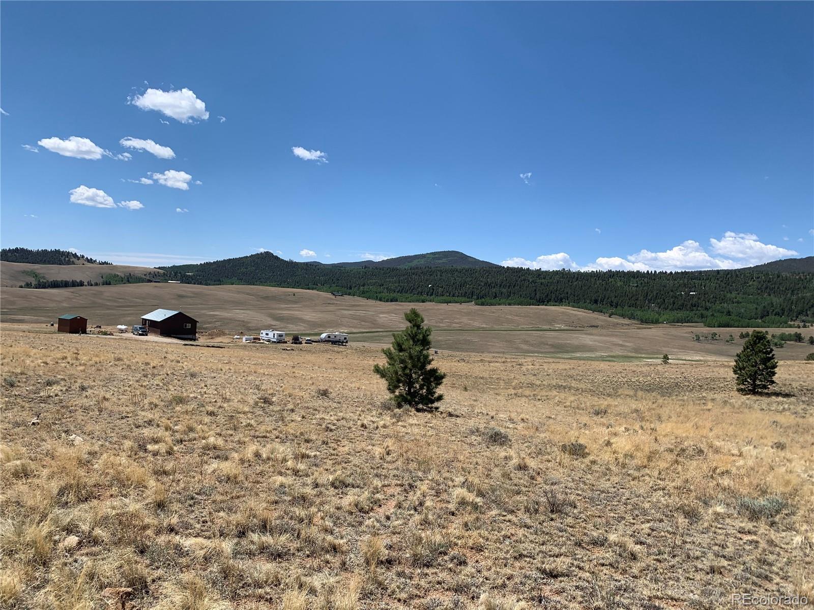 313 Wagon Wheel Road Hartsel, CO 80449 - Photo 10 of 25 Gallery Image 10