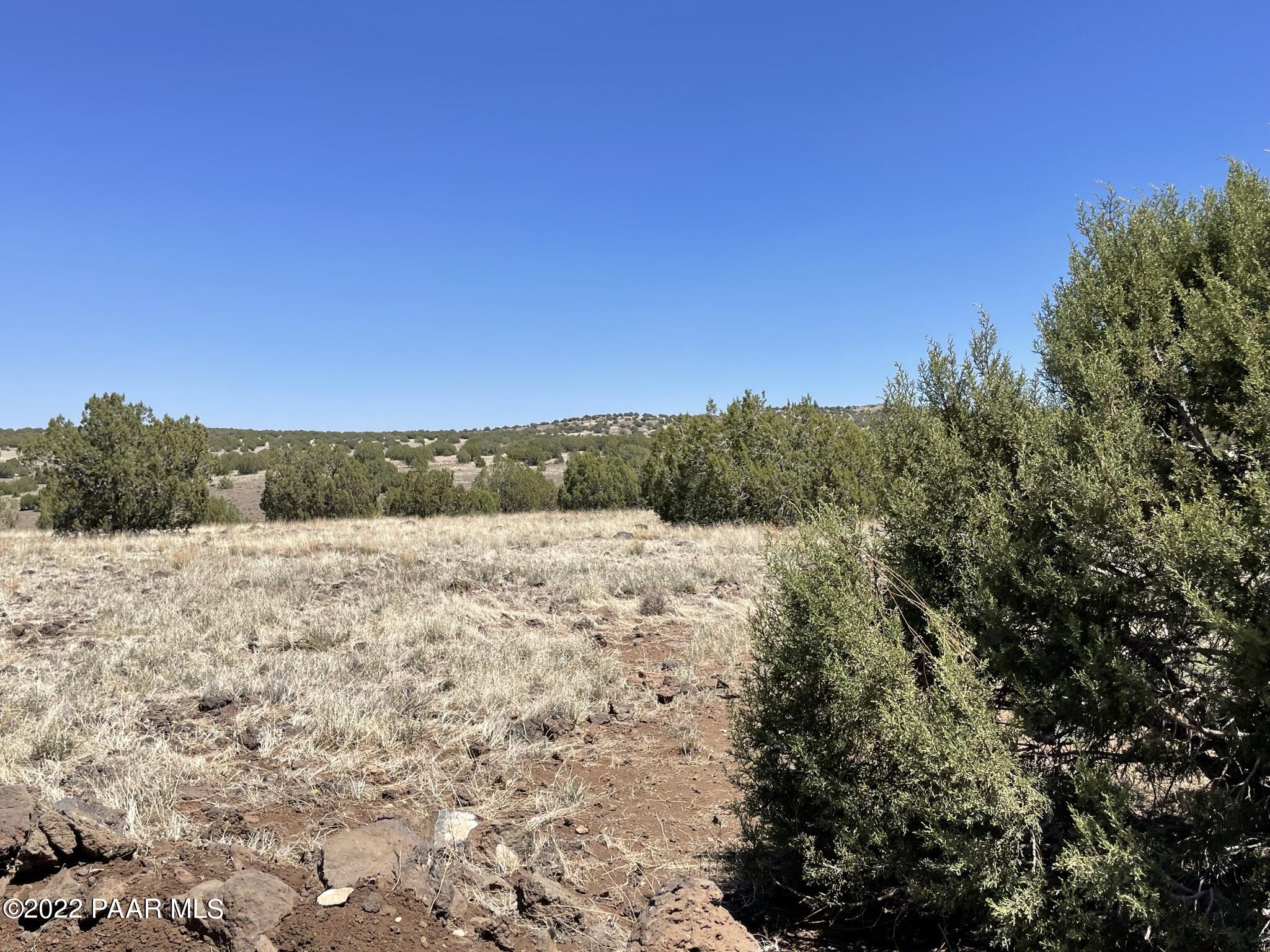 6851 Grand Vista Ranch Road Williams, AZ 86046 - Photo 20 of 29 IMG_1211