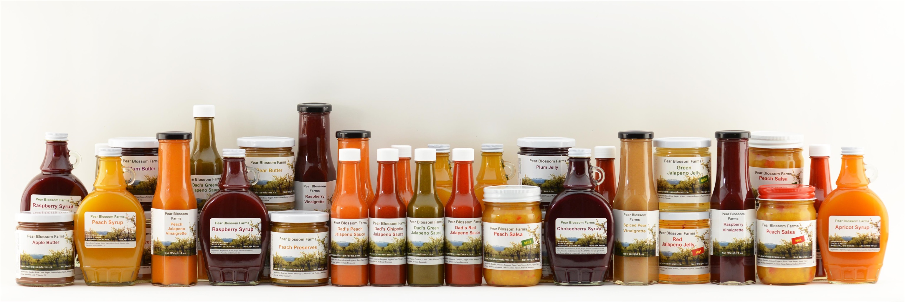 3376 C Road Palisade, CO 81526 - Photo 17 of 23