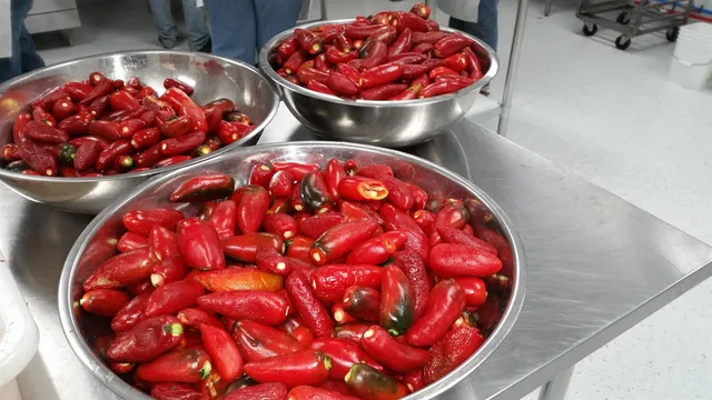 $2,800,000 | 3376 C Road, Palisade, CO 81526