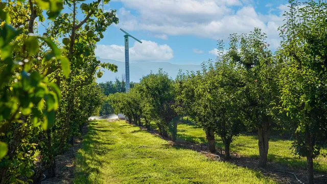 a view of yard with small fountain