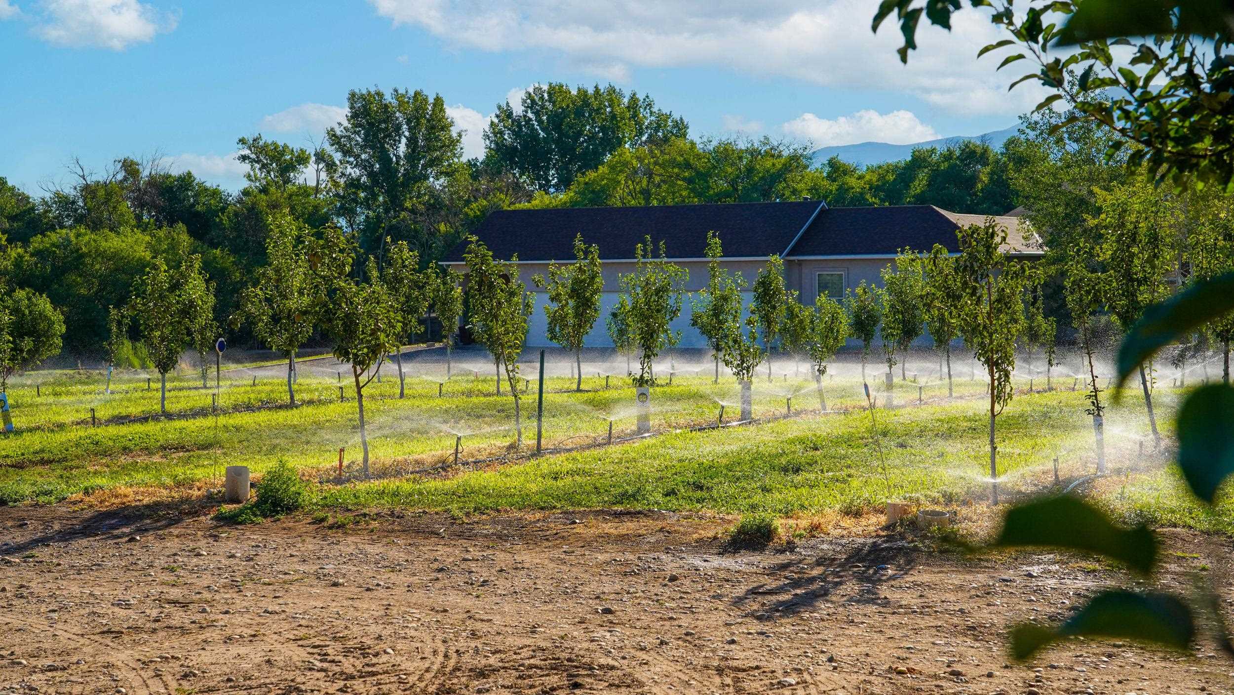 3376 C Road Palisade, CO 81526 - Photo 7 of 23