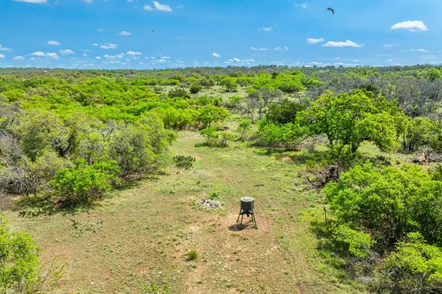 a view of backyard with green space