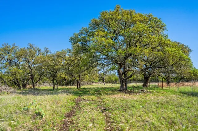 a view of a yard with an trees
