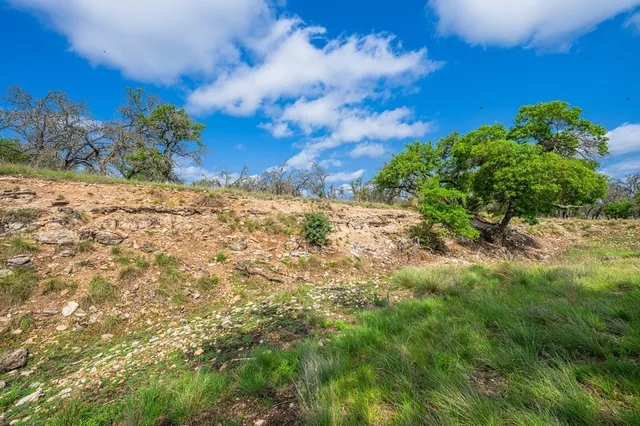 a view of a yard with a tree
