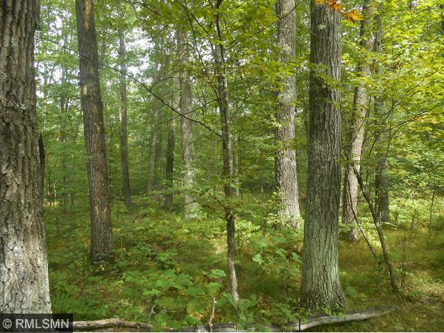 Xx Doetch Lane Gordon, WI 54838 - Photo 1 of 1 Gallery Image 1