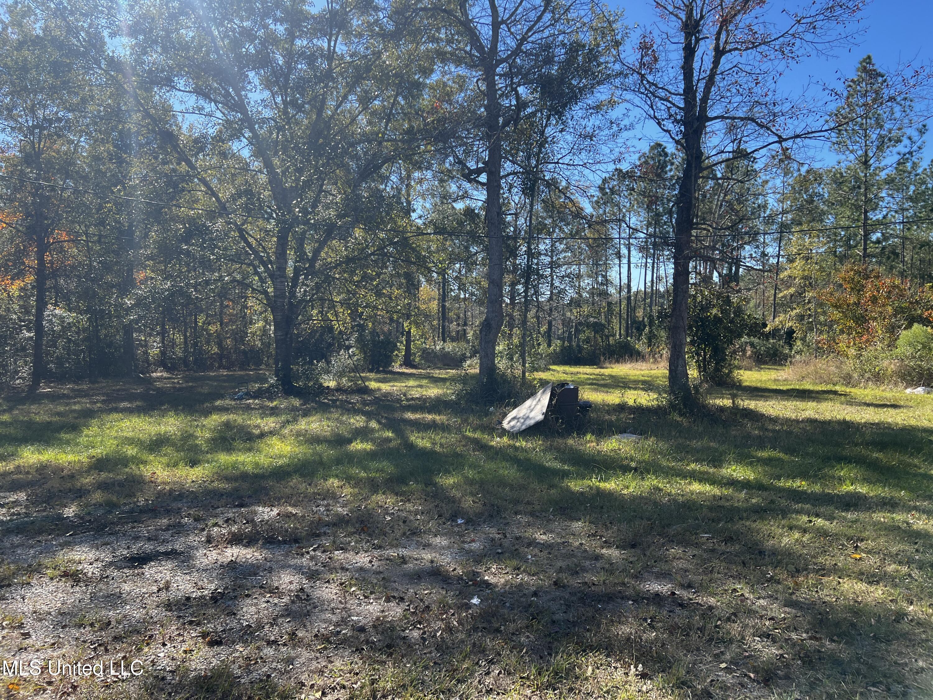 19229 Mary Shamis Road Saucier, MS 39574 - Photo 10 of 12 IMG_8356