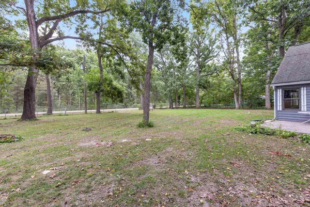 a view of a tree in a park