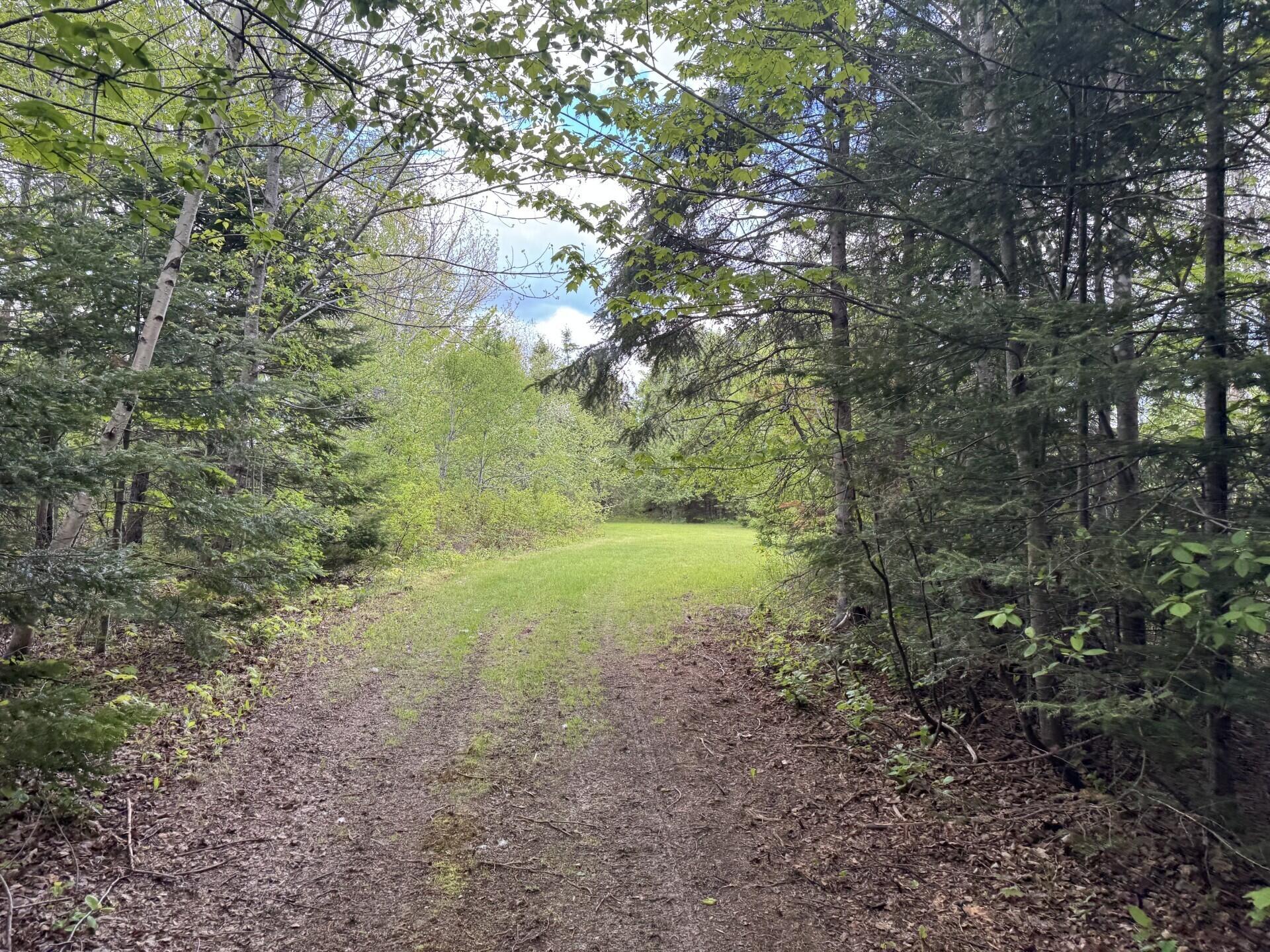 328 Clark Road Merrill, ME 04780 - Photo 54 of 55 Western Trail (328 Clark Road) III