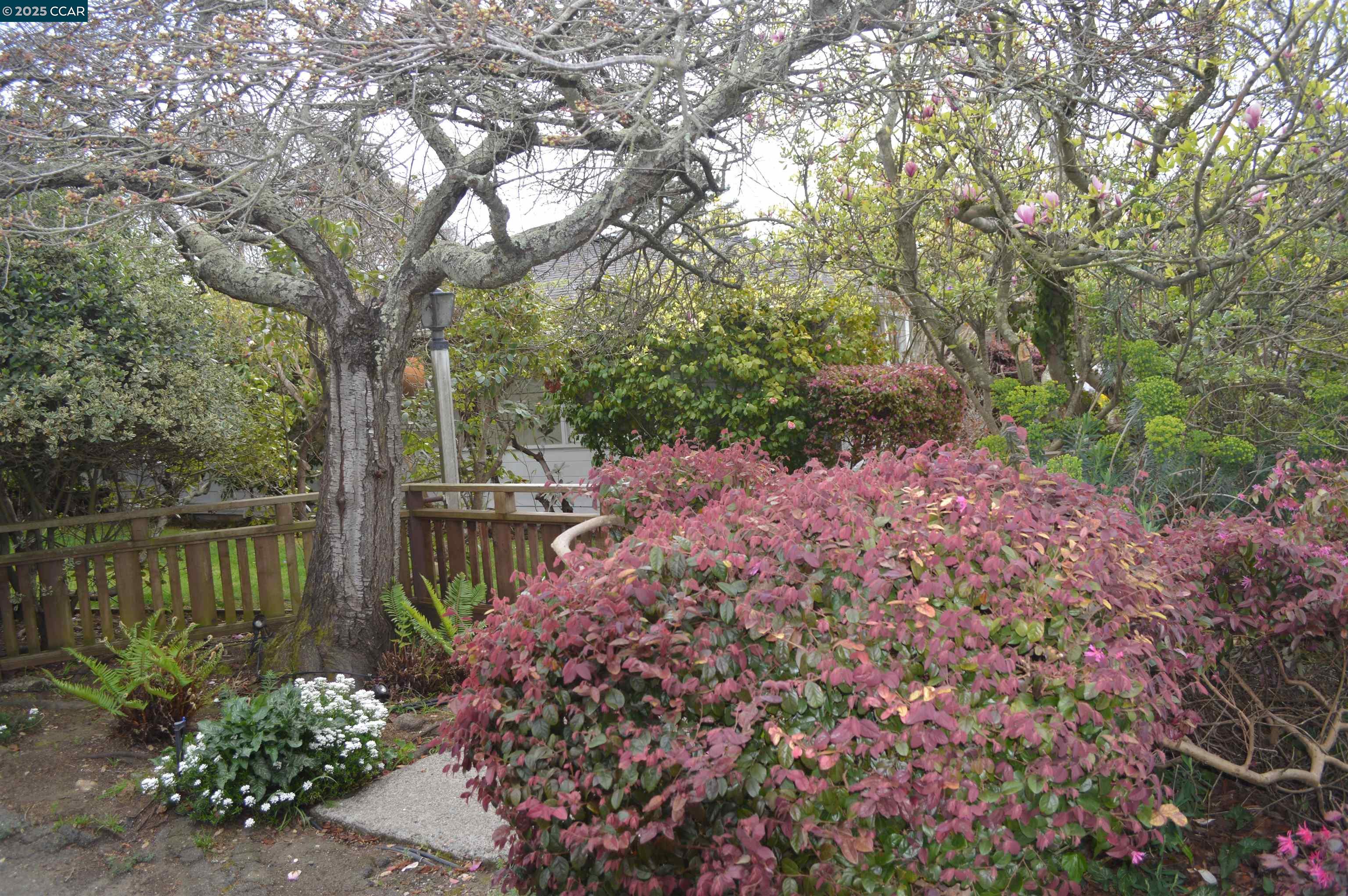 301 Grizzly Peak Boulevard Kensington, CA 94708 - Photo 15 of 24