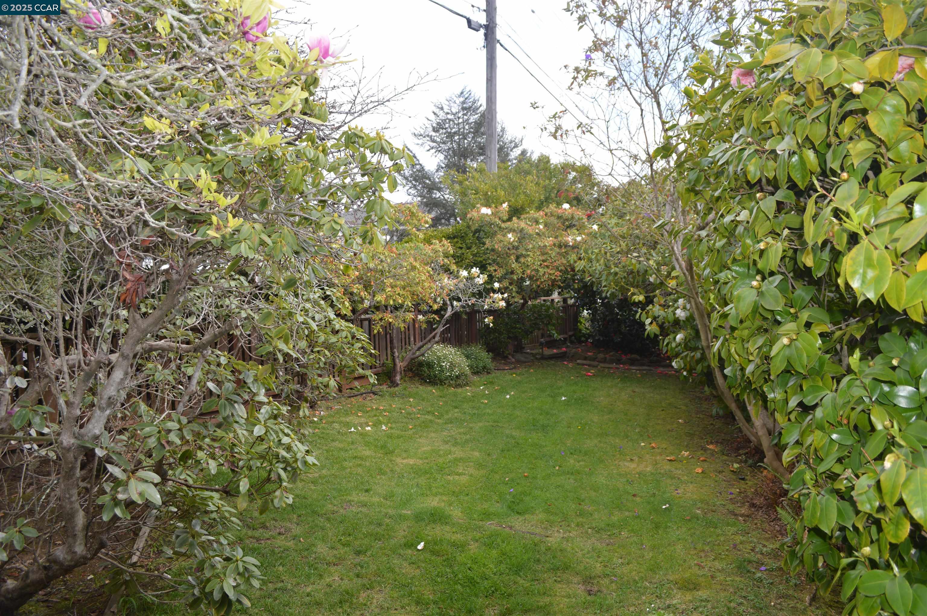 301 Grizzly Peak Boulevard Kensington, CA 94708 - Photo 16 of 24