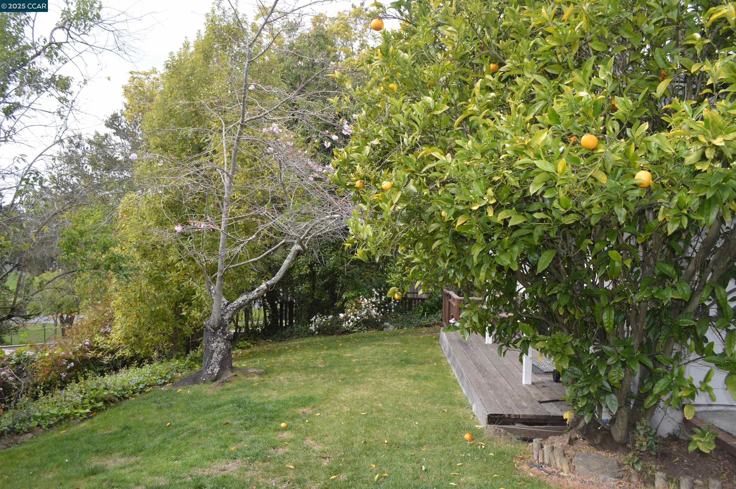 301 Grizzly Peak Boulevard Kensington, CA 94708 - Photo 22 of 24