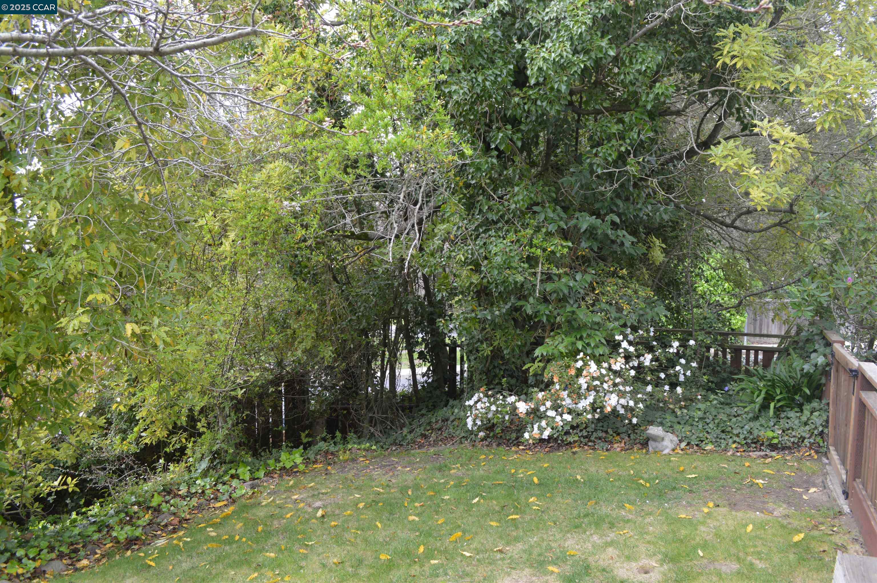 301 Grizzly Peak Boulevard Kensington, CA 94708 - Photo 23 of 24