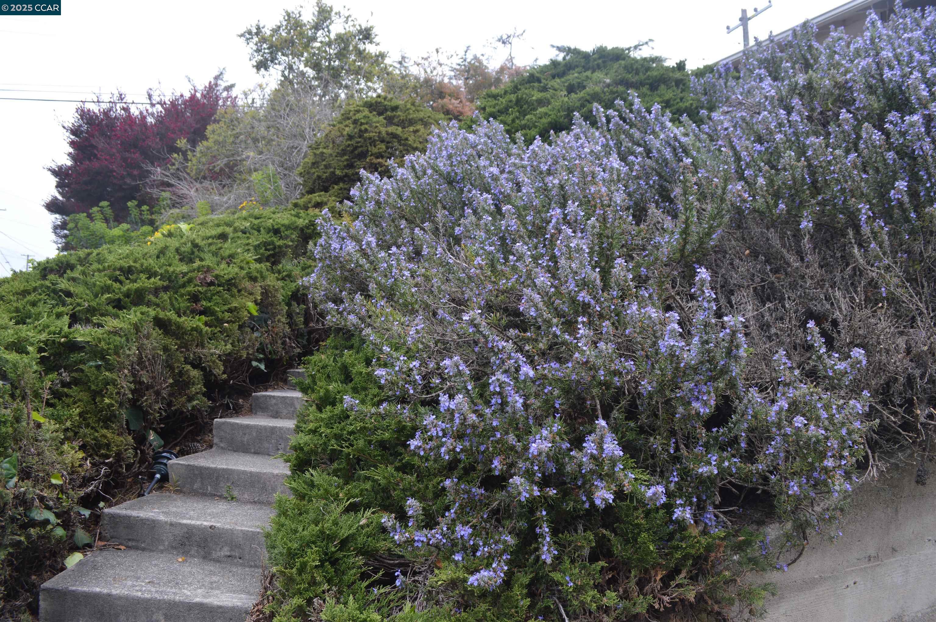 301 Grizzly Peak Boulevard Kensington, CA 94708 - Photo 24 of 24