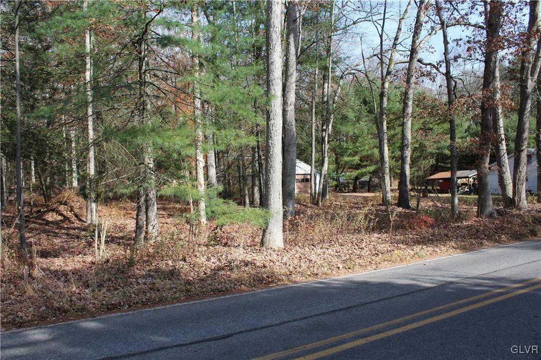 Buck Mountain Road White Haven, PA 18661 - Photo 2 of 6 a view of a wooden floor with a yard