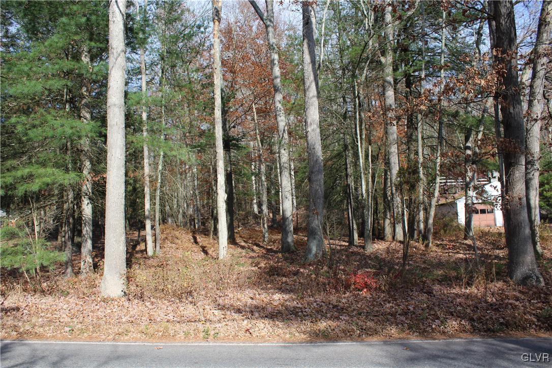 Buck Mountain Road White Haven, PA 18661 - Photo 3 of 6 a view of a backyard with trees