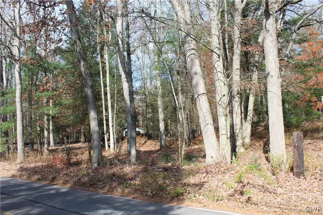 a view of a yard covered with trees