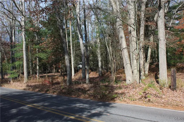 a view of a tree with a yard