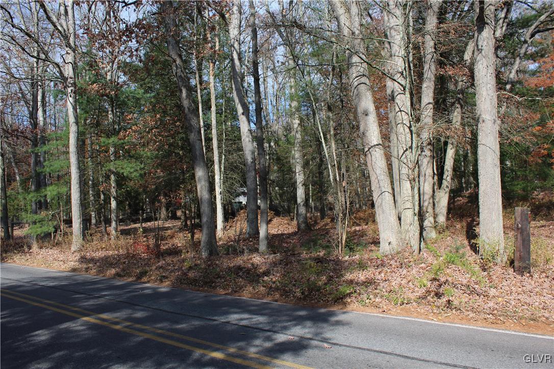 Buck Mountain Road White Haven, PA 18661 - Photo 5 of 6 a view of a tree with a yard