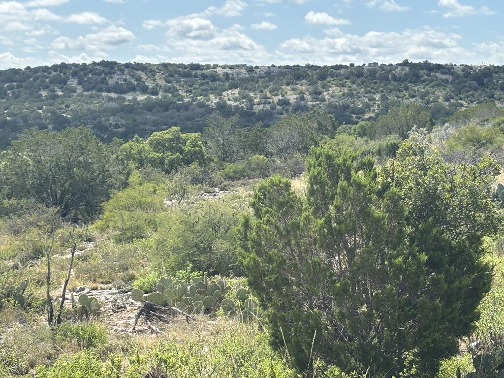 18797 Other Rocksprings, TX 78880 - Photo 13 of 31 Gallery Image 13