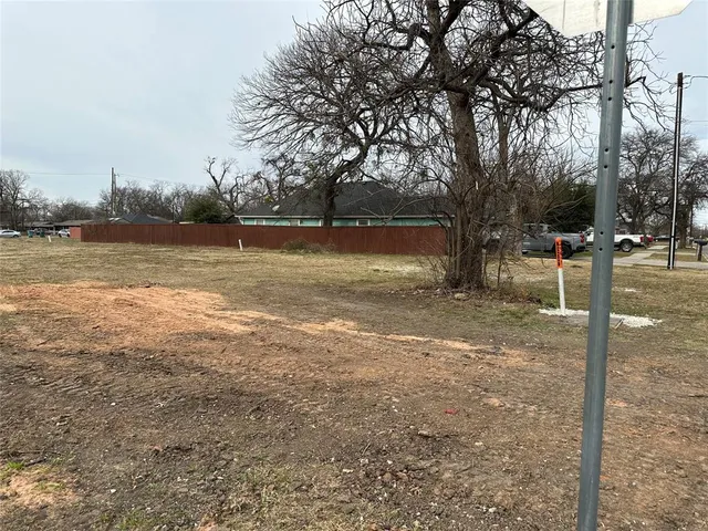 a view of a yard with a tree