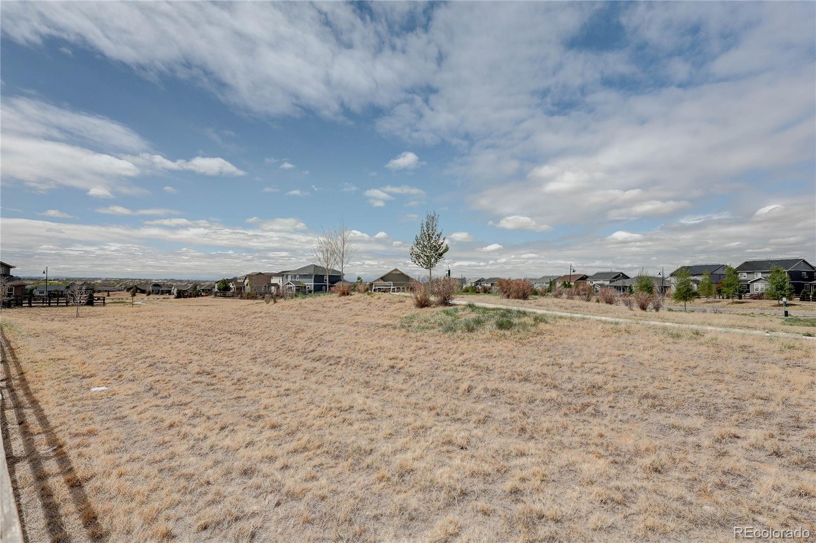 5217 Inland Avenue Firestone, CO 80504 - Photo 38 of 39