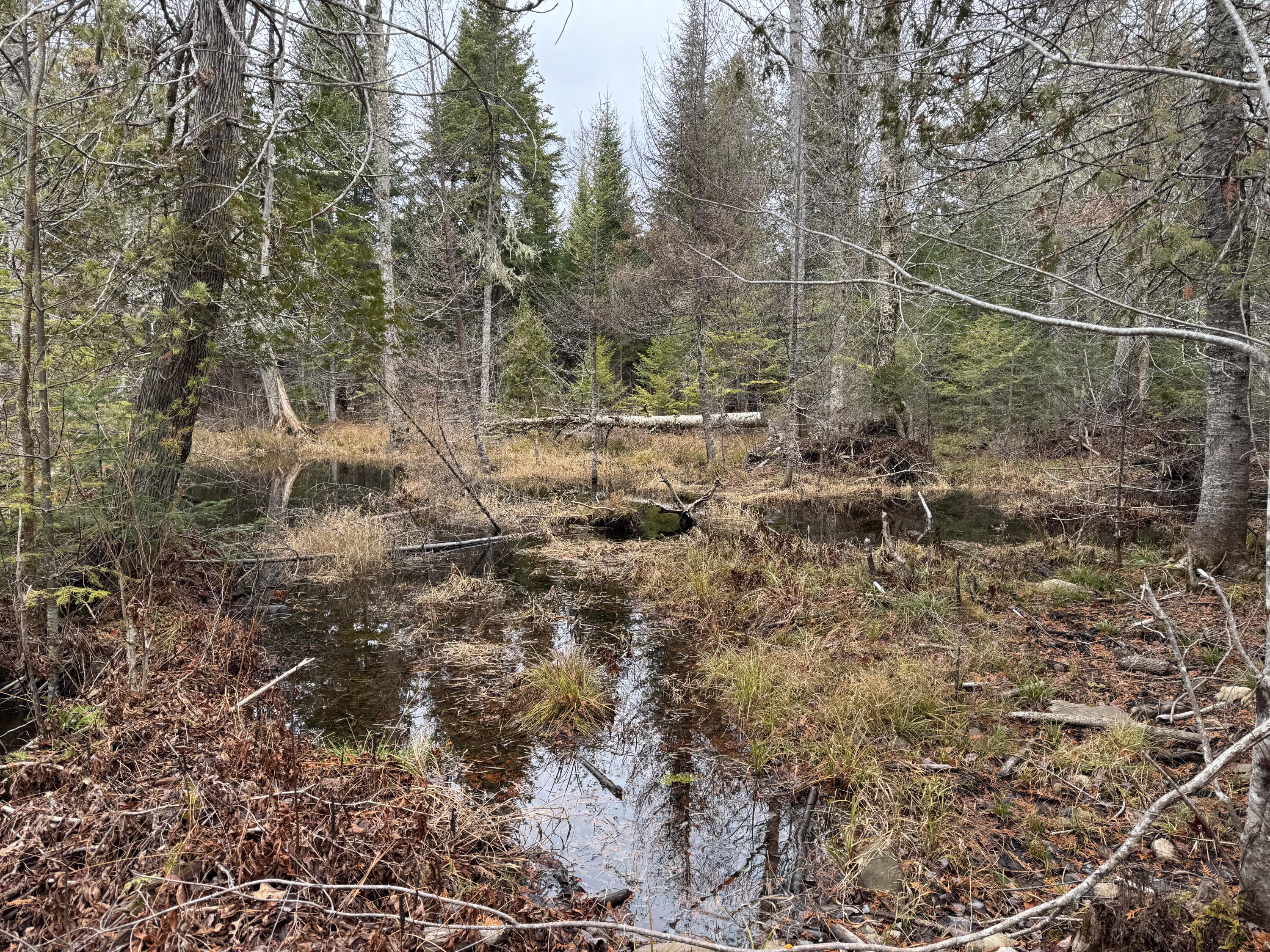 Lot 3 Freedom Way Springfield, ME 04487 - Photo 5 of 18 IMG_2222