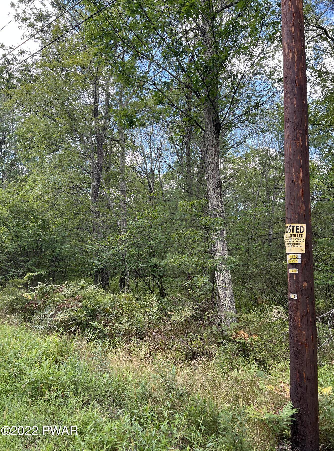 Lot 4 Fox Rdg Pk Drive Hawley, PA 18428 - Photo 3 of 7