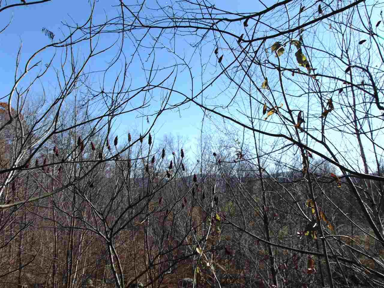 2 Toad Point Road Petersburgh, NY 12138 - Photo 8 of 19 Photo 8