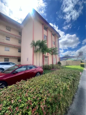 a view of a backyard with plants and a large tree