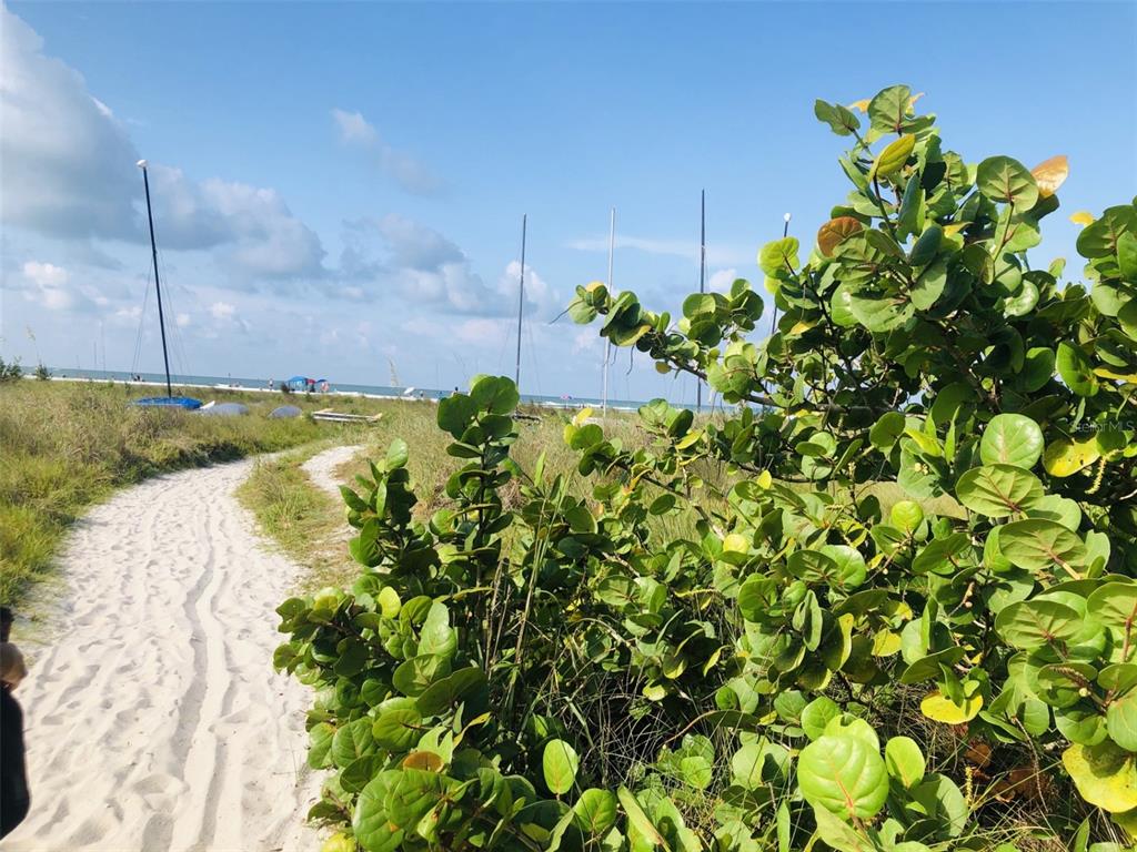 450 Beach Road, Unit 3 Sarasota, FL 34242 - Photo 65 of 68