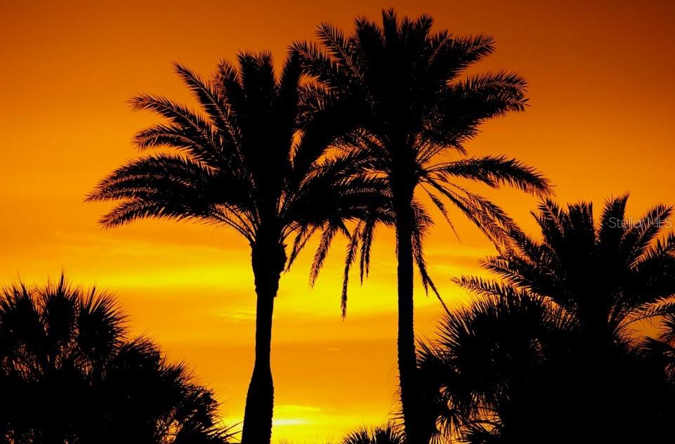 450 Beach Road, Unit 3 Sarasota, FL 34242 - Photo 67 of 68