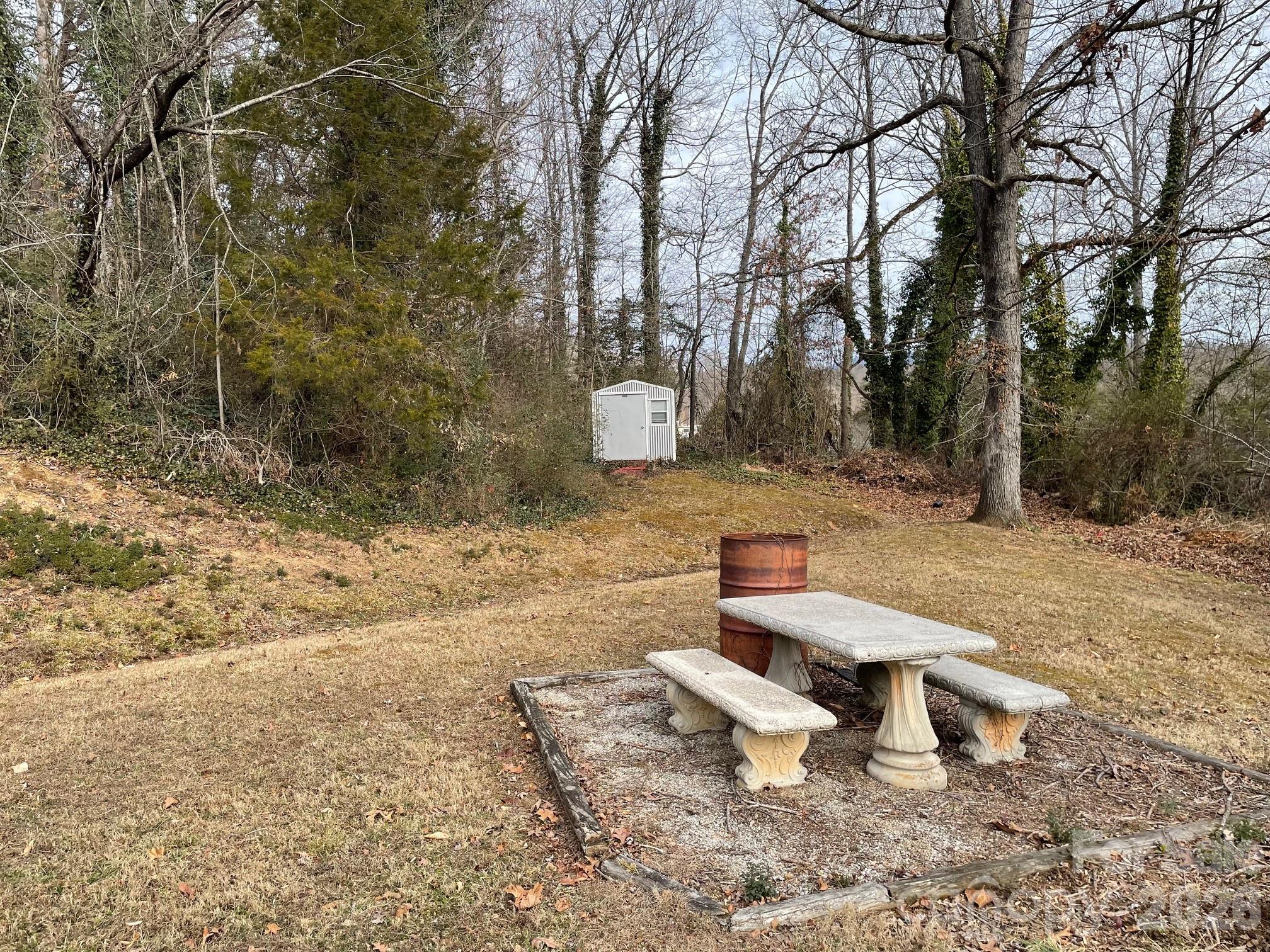 119 Hankins Road Marion, NC 28752 - Photo 12 of 12