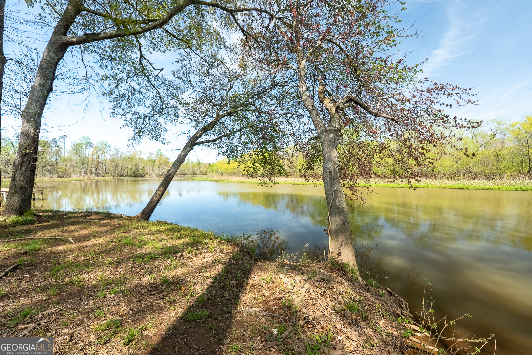 Lot 283 Henry Higgins Road Jackson, GA 30233 - Photo 6 of 12
