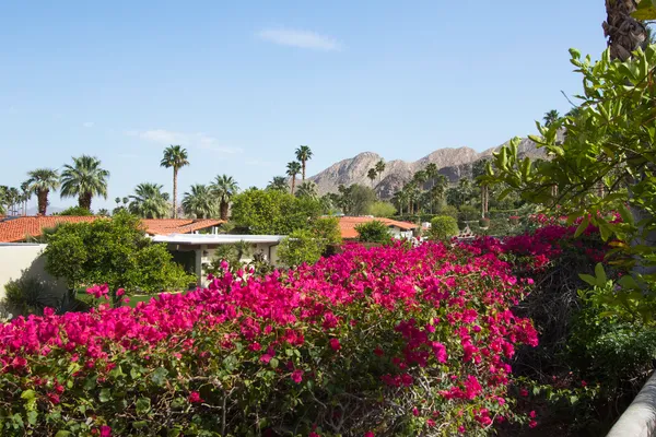 an aerial view of a house with garden space and street view